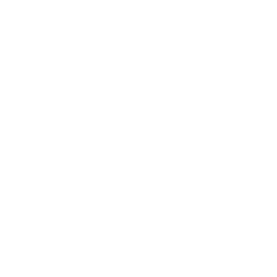 Racing Helmet