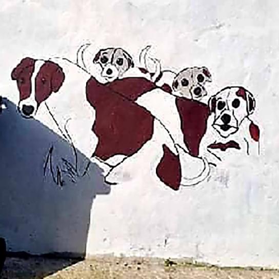 street-art